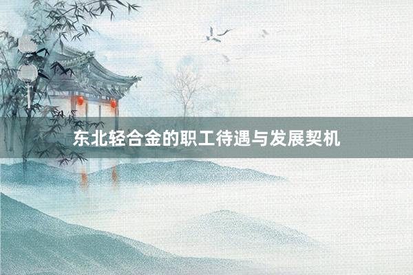 东北轻合金的职工待遇与发展契机
