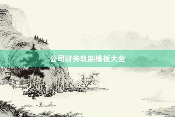 公司财务轨制模板大全