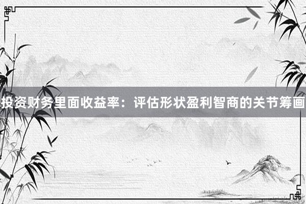 投资财务里面收益率：评估形状盈利智商的关节筹画