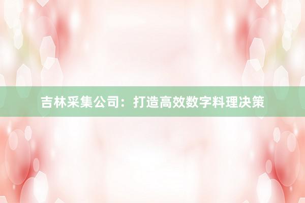 吉林采集公司：打造高效数字料理决策