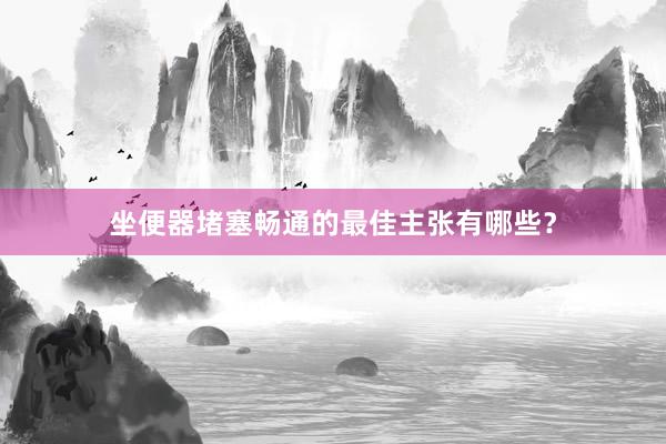 坐便器堵塞畅通的最佳主张有哪些？
