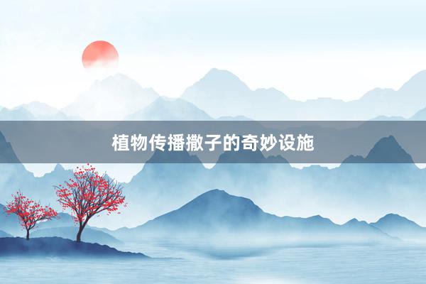 植物传播撒子的奇妙设施