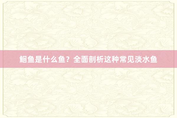 鮰鱼是什么鱼？全面剖析这种常见淡水鱼